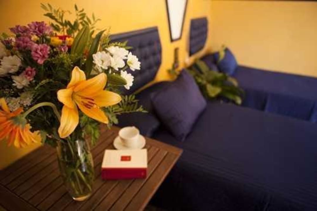 Double room with wifi,tv and air conditioning Pension Nuevo Pino