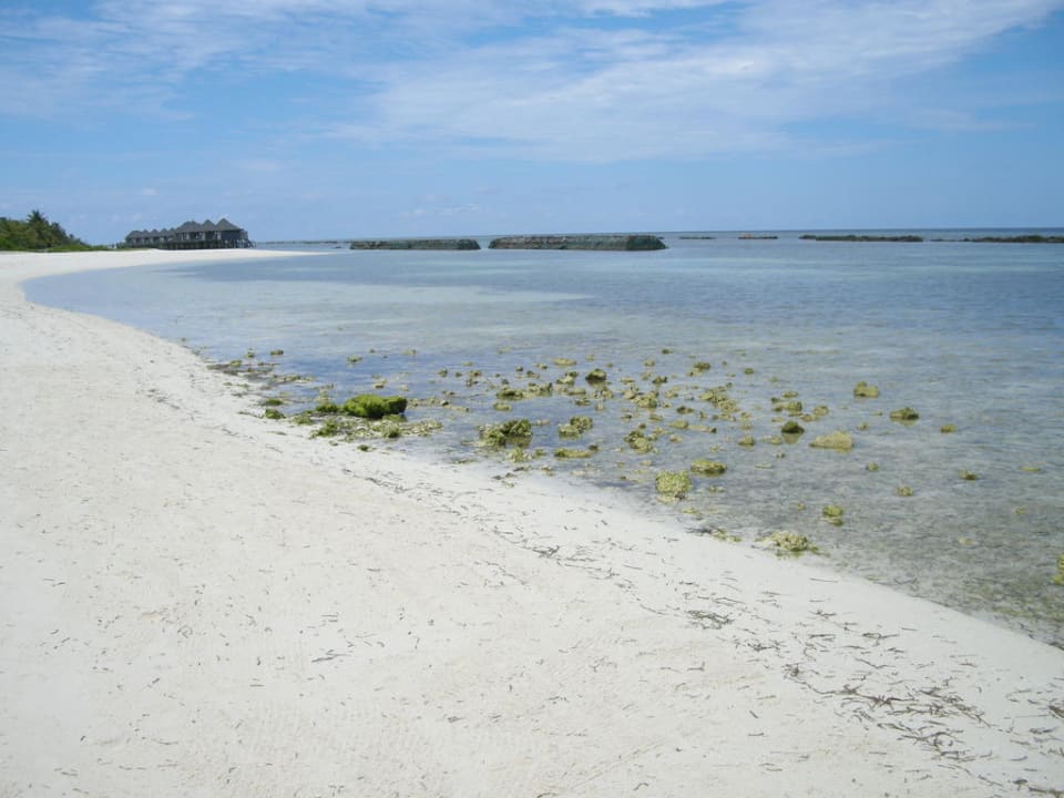 Strand Beach Bungalows Kuredu Island Kuredu Island Resort & Spa