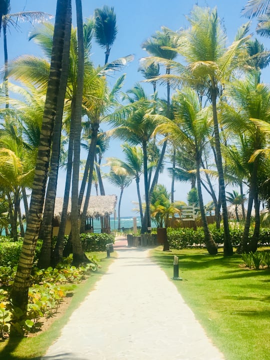 Gartenanlage Hotel Grand Palladium Palace Resort, Spa & Casino