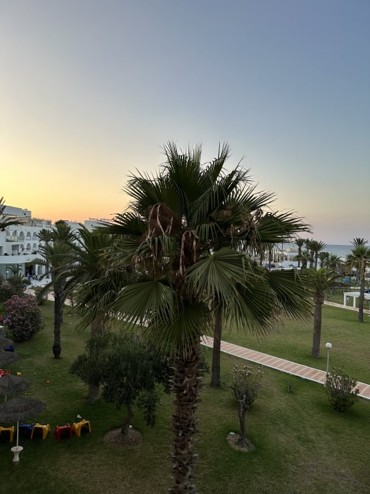 Ausblick El Mehdi Beach Resort
