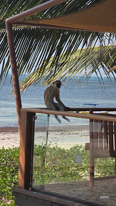 Strand Travellers Beach Hotel & Club