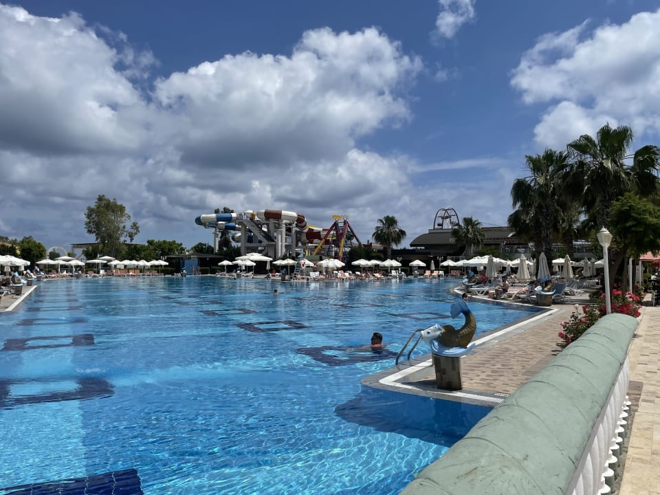 Pool Hotel Delphin Imperial