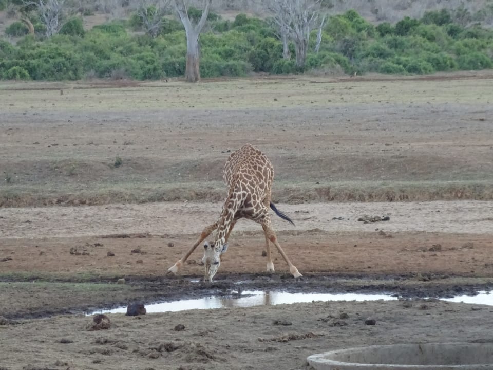 Ausblick Sentrim Tsavo Lodge