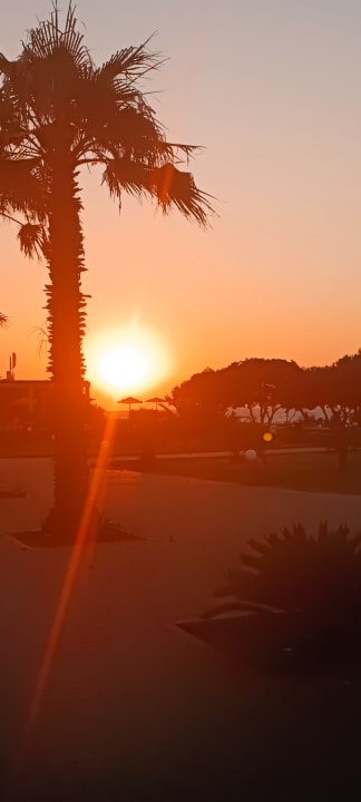 Ausblick Sunshine Rhodes