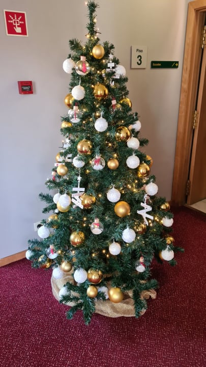 Sonstiges Hotel Madeira Panoramico