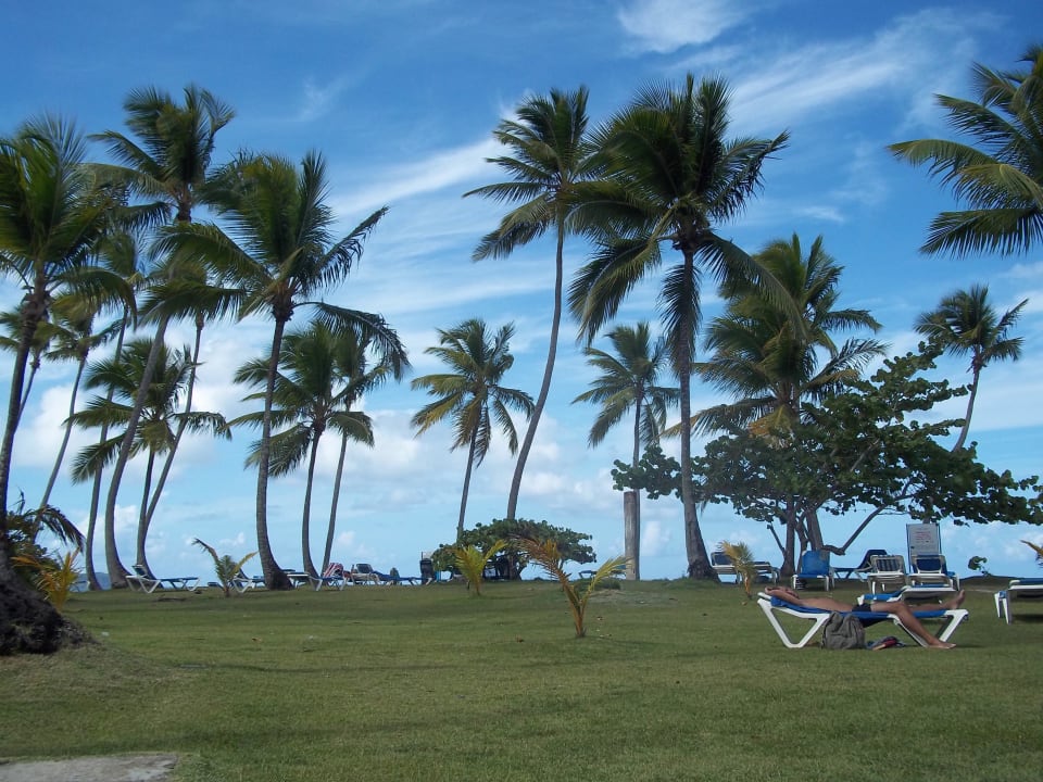 Weitläufige Gartenanlage Wyndham Alltra Samana