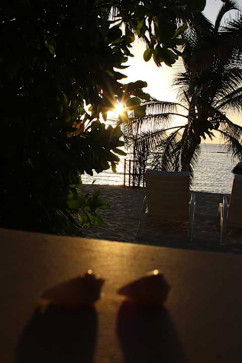 Von Zimmer 212 aus Summer Island Maldives