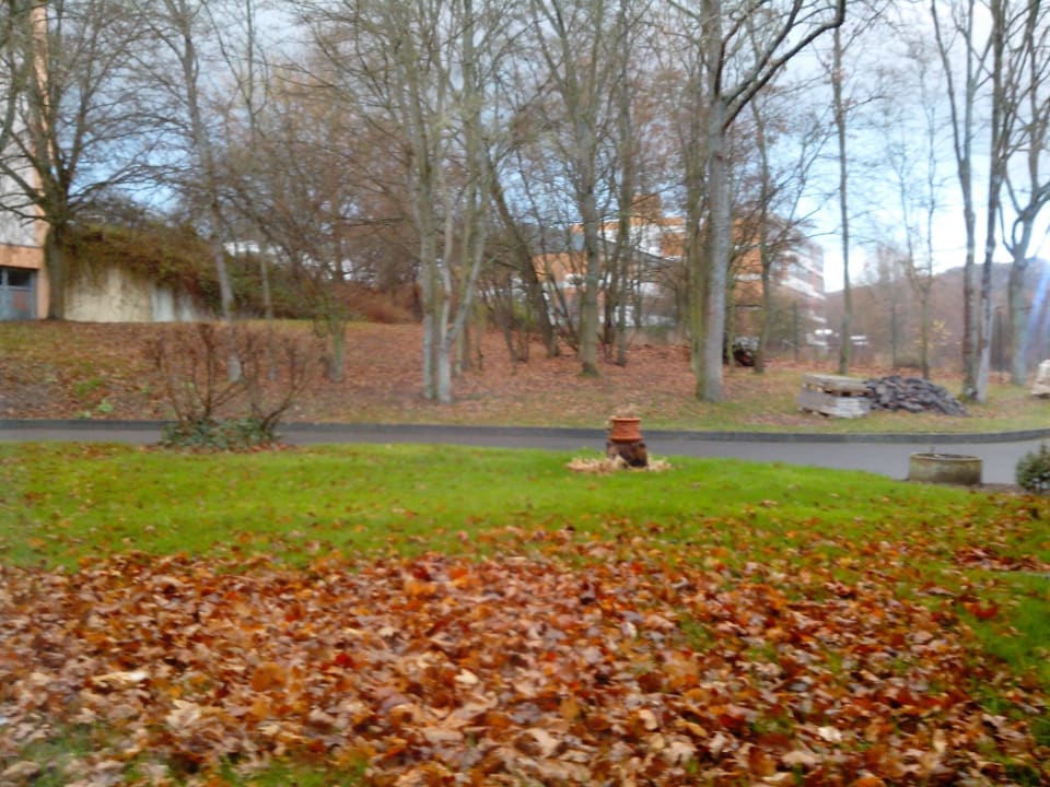 Mittelmosel-Jugendherberge in Traben-Trarbach Mosel-Jugendherberge Traben-Trarbach