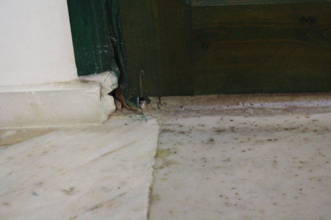 Renovierte Zimmertür von innen  Semt Luna Beach Hotel