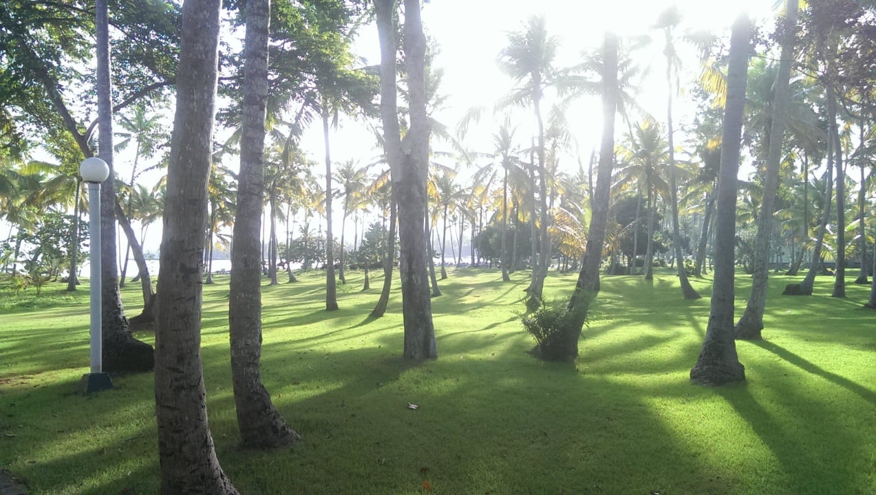 Aufm Weg zum Strand Wyndham Alltra Samana