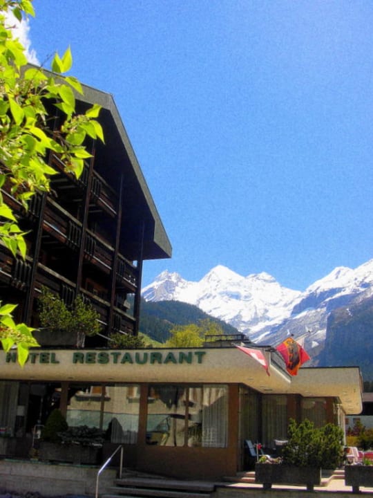 Hotel mit Panorama der Blümlisalpkette Hotel Blümlisalp