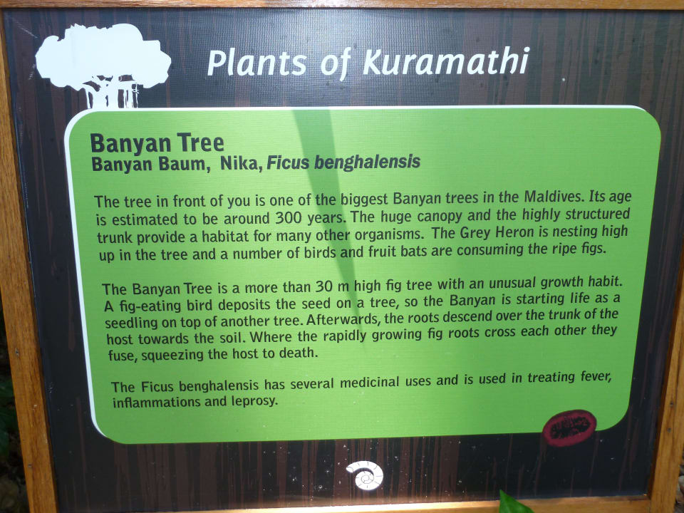 Banyan Tree Kuramathi Maldives