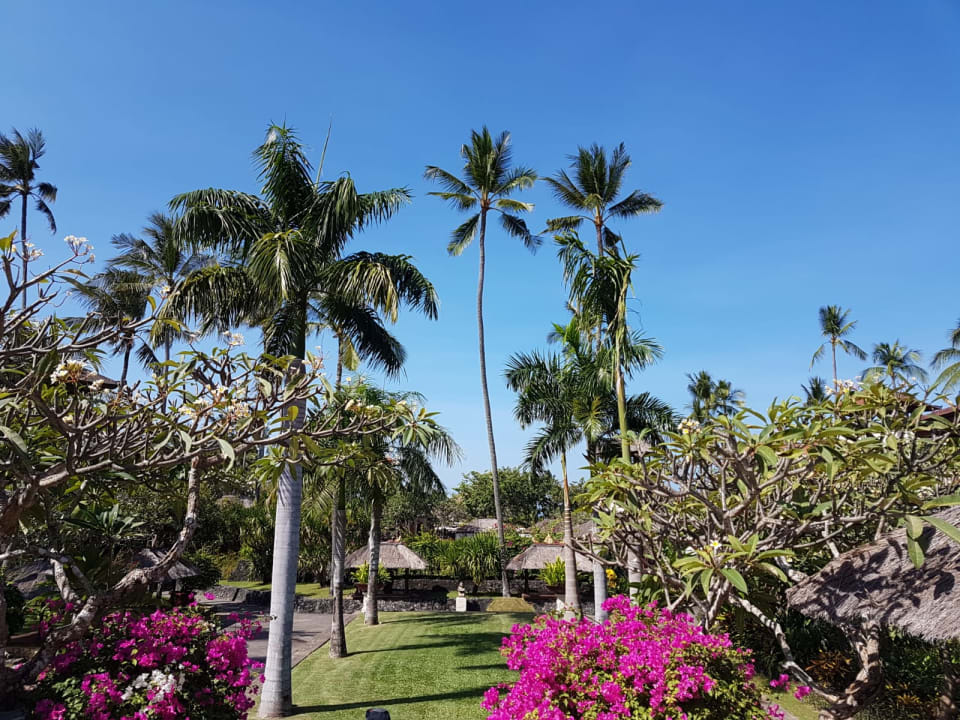 Gartenanlage Nusa Dua Beach Hotel & Spa
