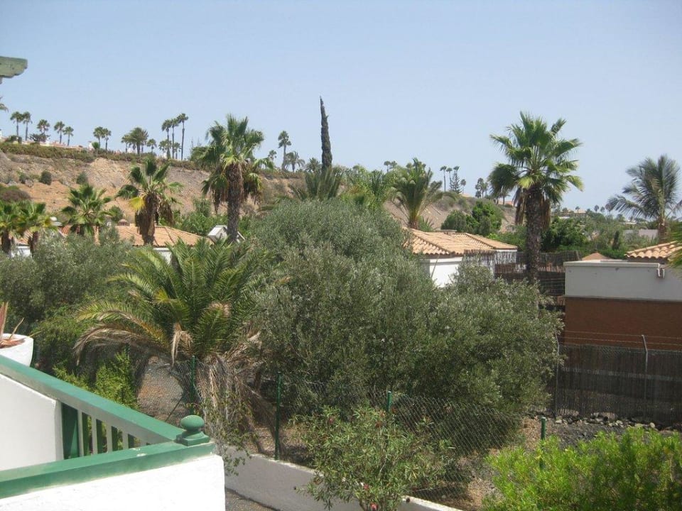 Blick vom Balkon aus Bungalows Vistaflor