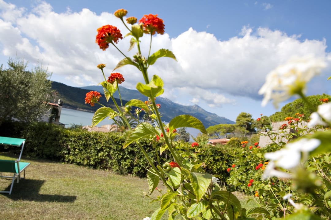 Giardino villa oleandro Hotel Danila