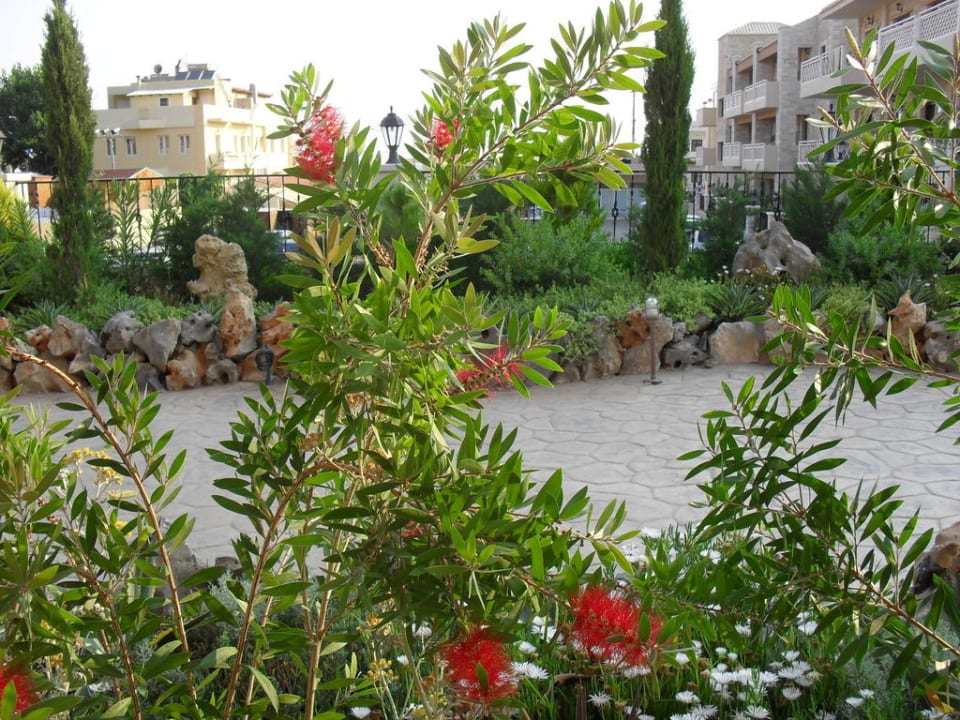 Aussicht vom Hauptrestaurant Cactus Royal