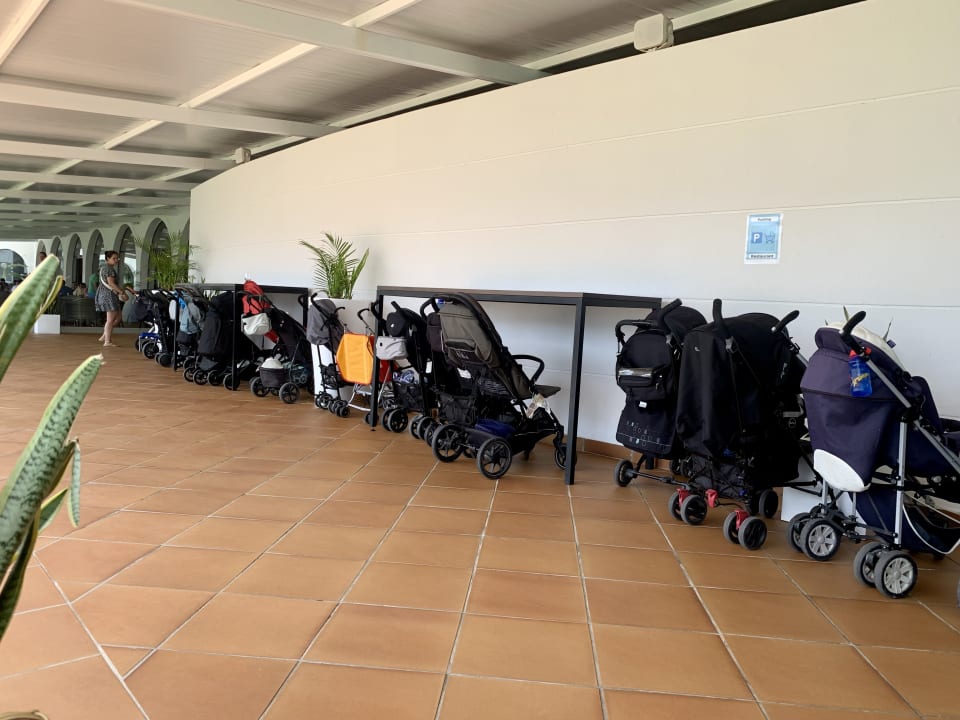 Gastro blau punta reina