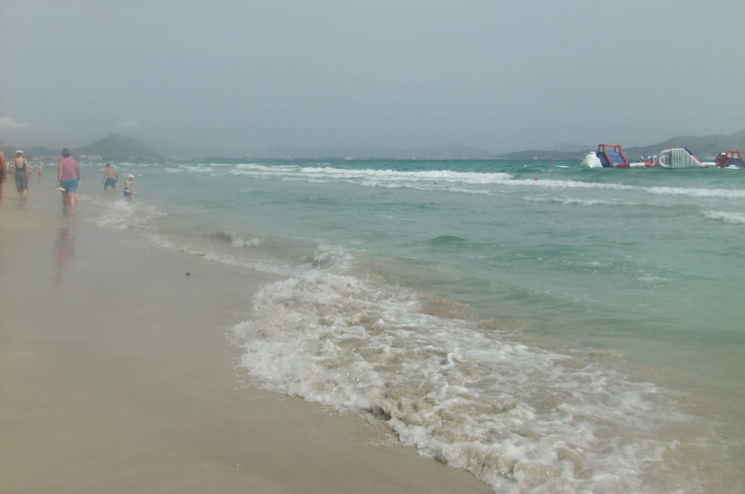 Strand vor dem Hotel The Sea Hotel by Grupotel - Adults only