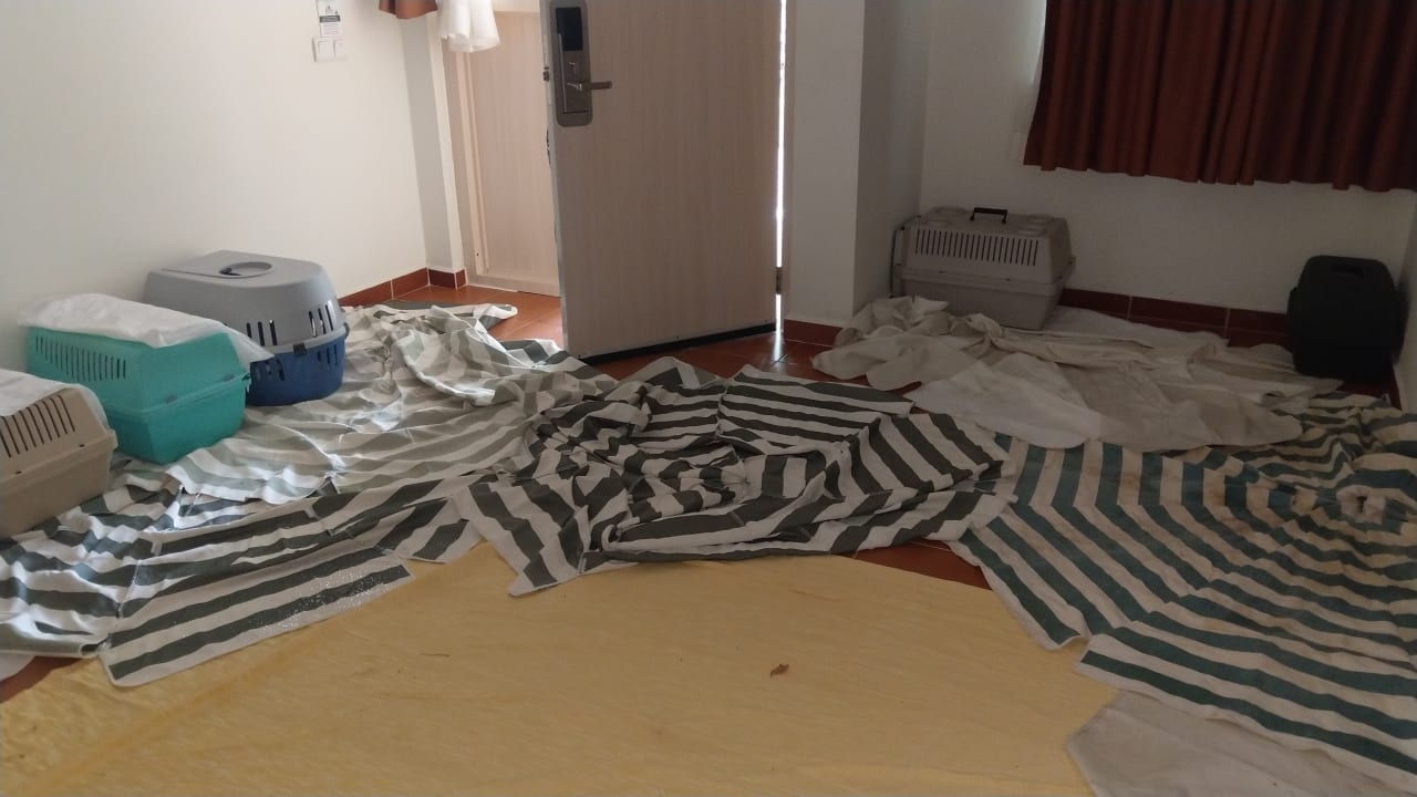 Sonstiges Hotel Gardenia Beach