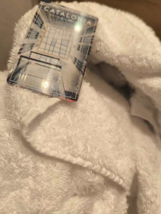 Zimmer Hotel Catalonia Majórica