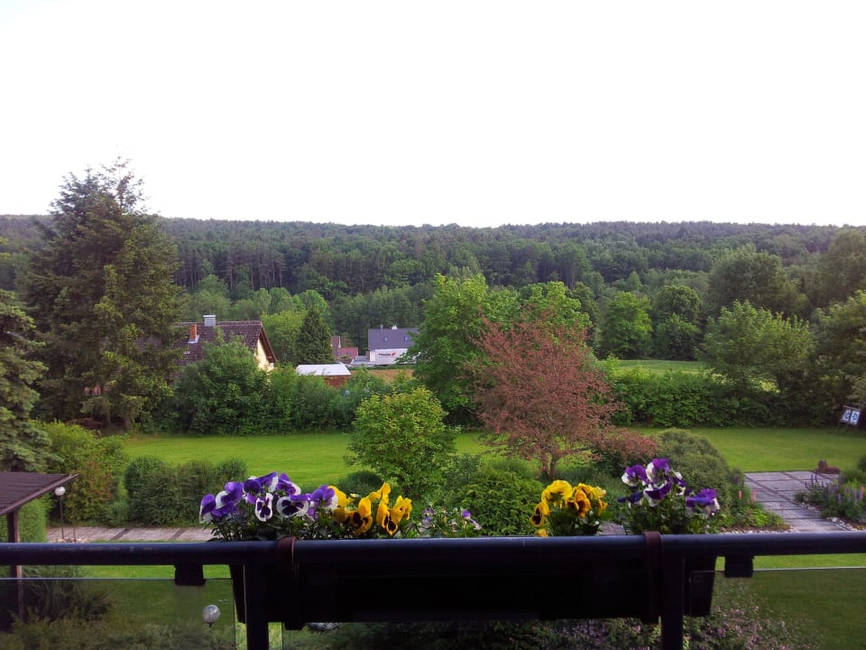 Ausblick vom Balkon zum Feld/Wald Landhotel Hubertus