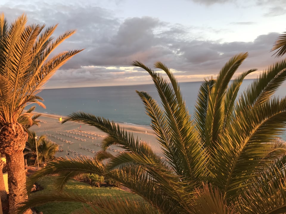 Ausblick Hotel Riu Palace Jandia