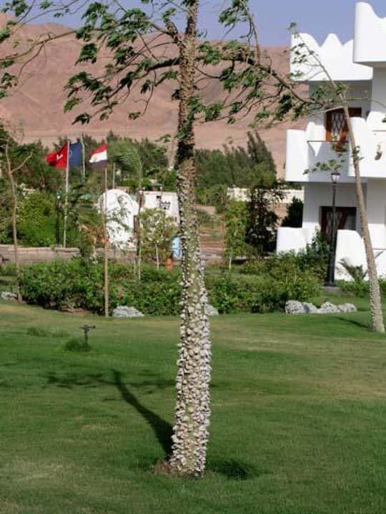 wind Swiss Inn Resort Dahab