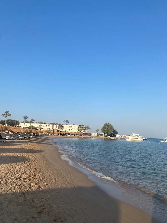 Pool Eagles Paradise Abu Soma