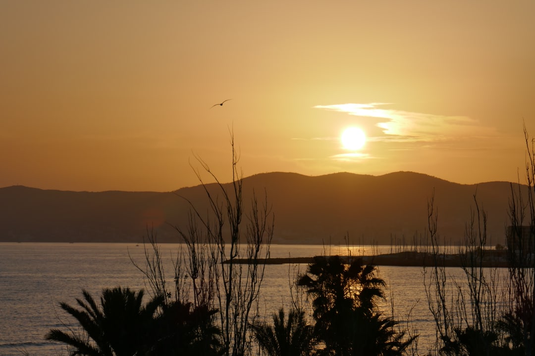 Aussicht abends aus dem Hotelzimmer HSM Golden Playa