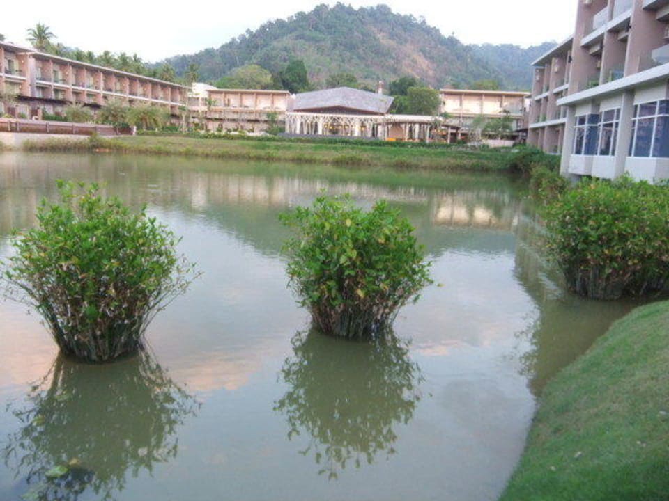 Hotelanlage vom Meer her fotografiert The Sands Khao Lak by Katathani