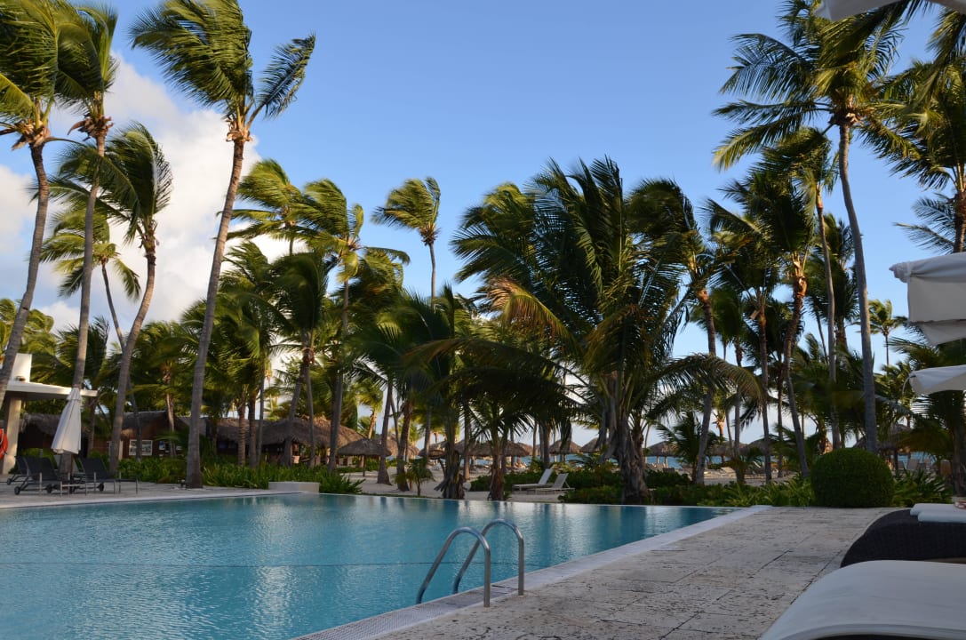 Pool in Strandnähe Catalonia Royal Bavaro - Adults only