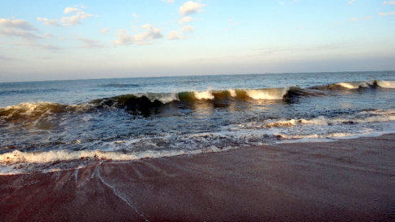 Monsterwellen Club Hotel Dolphin