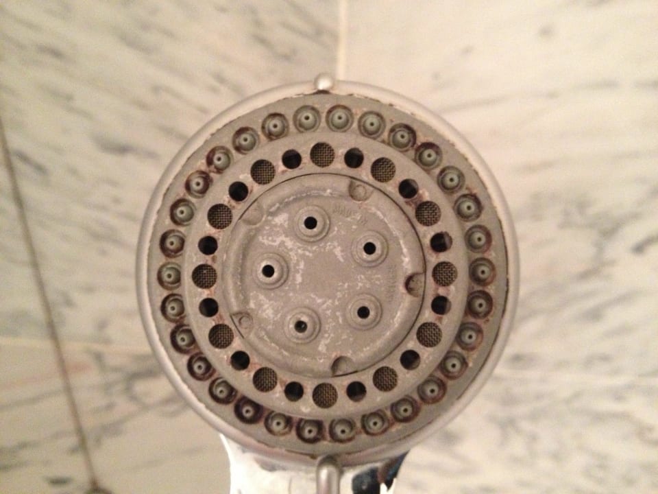 Verschimmelter Duschkopf Occidental Faro