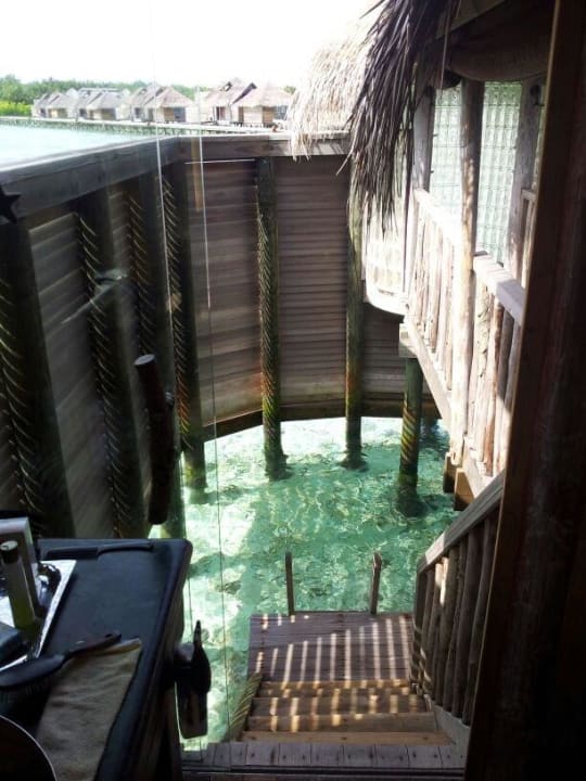 Индивидуальный пляж (можно купаться без одежды в прилив) Gili Lankanfushi Resort