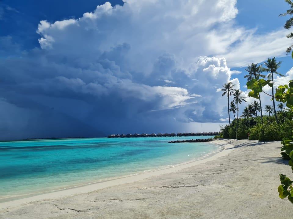 Strand TUI BLUE Olhuveli Romance