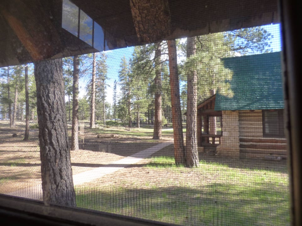 Ausblick durchs Fliegengitter Bryce Canyon Lodge
