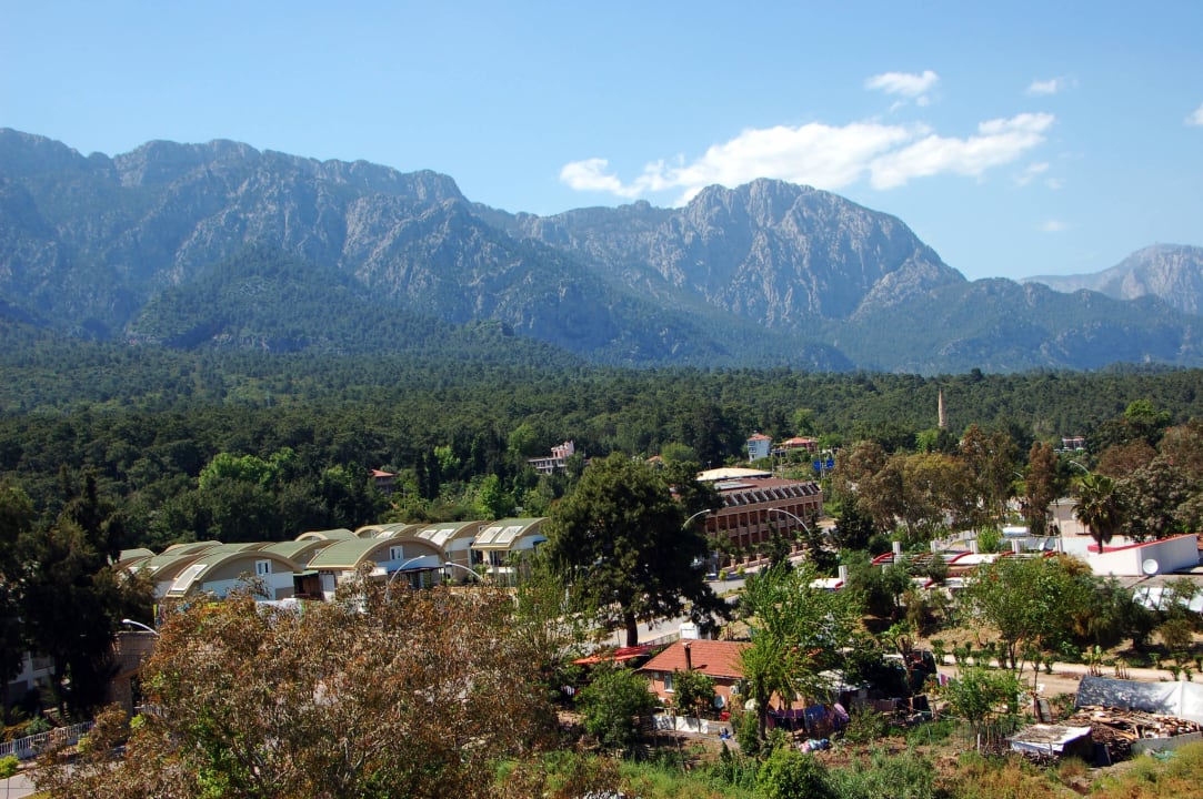 Сочетание красок Armas Gül Beach