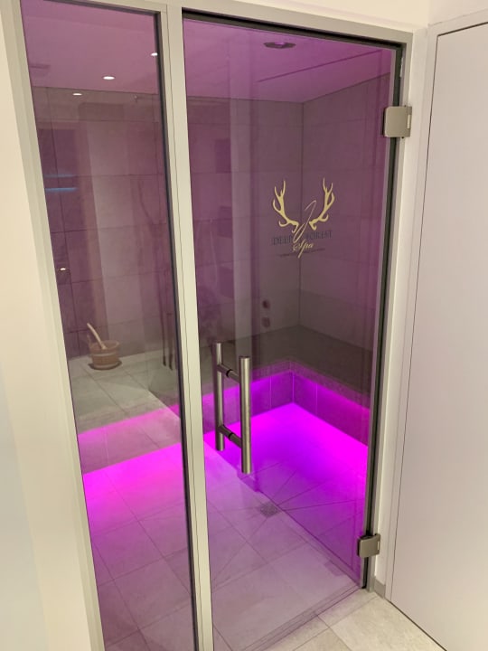 Pool Relais Chateaux Jagdhof Glashütte