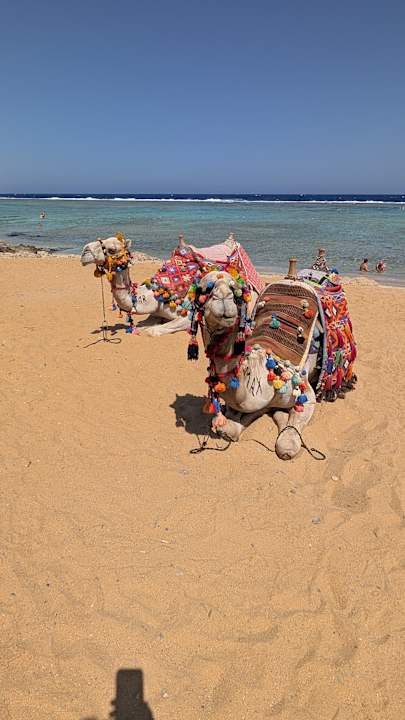 Strand Lazuli Hotel Marsa Alam