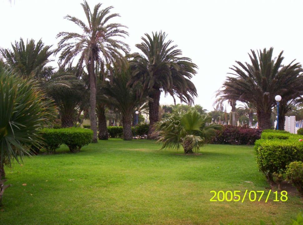 Ein kleiner Teil des Gartens SBH Fuerteventura Playa