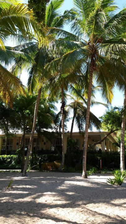 Palmen Senator Puerto Plata Hotel