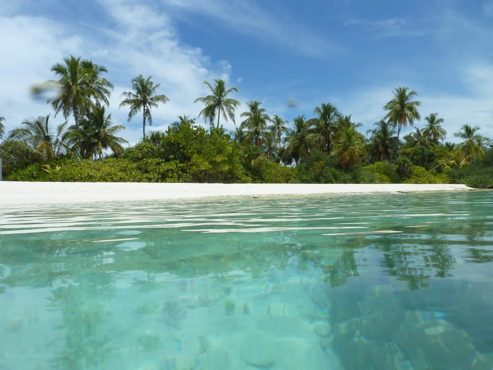 Nd hinter dem The Reef Restaurant Kuramathi Maldives