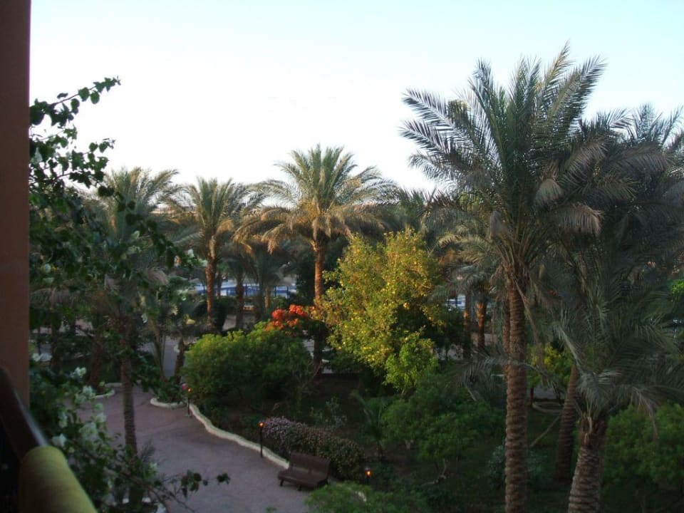 Ausblick vom T-Block Giftun Azur Resort