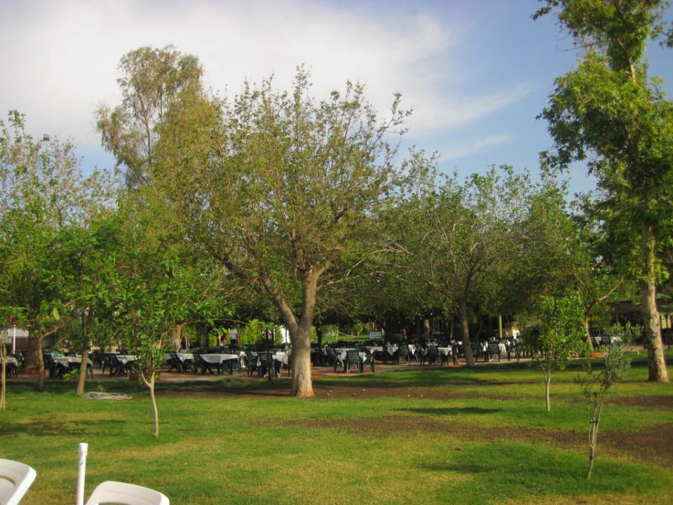 Strandbar Hotel Gardenia Beach
