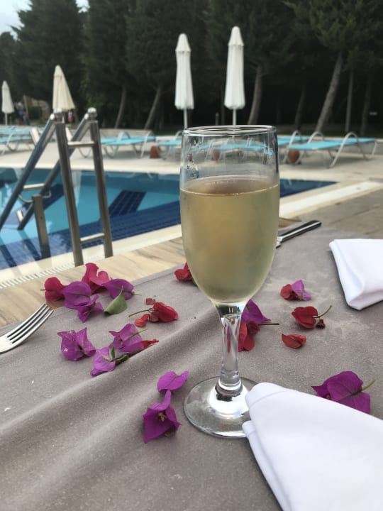 Gastro Saturn Palace Resort Hotel
