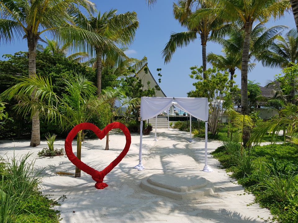 Hochzeit  OZEN LIFE MAADHOO