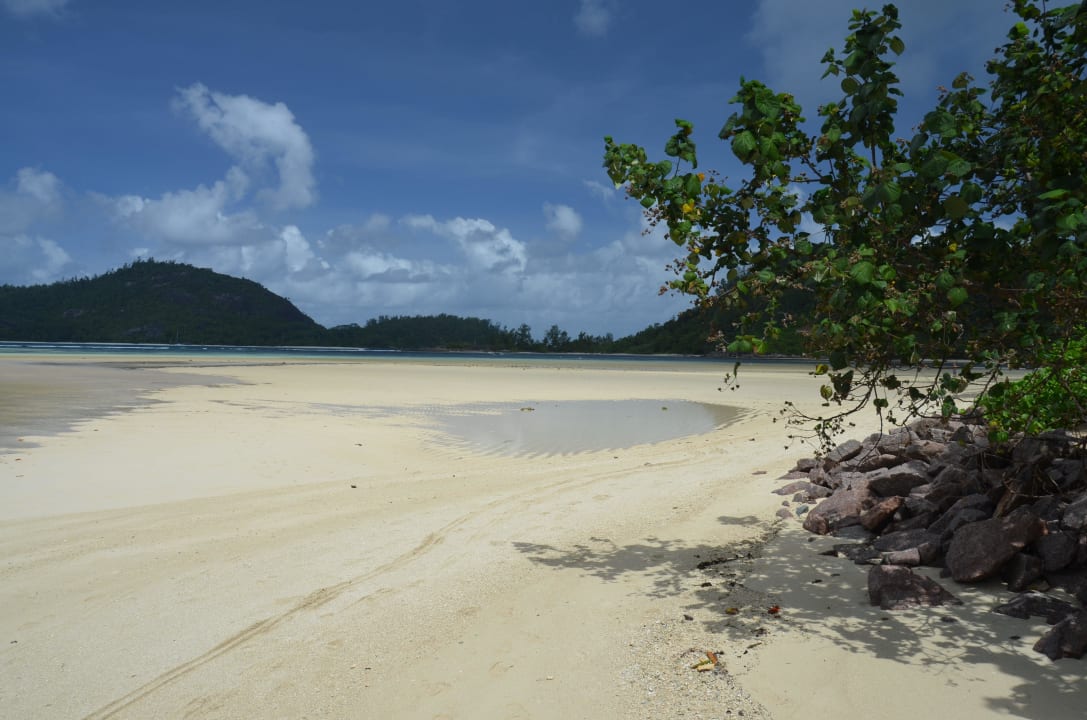 Südstrand bei Ebbe Constance Ephelia