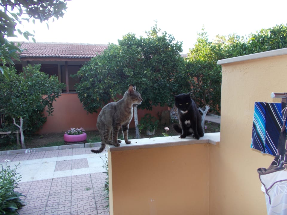 Sonstiges Özlem Garden Hotel