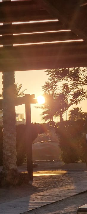 Ausblick Steigenberger Aqua Magic