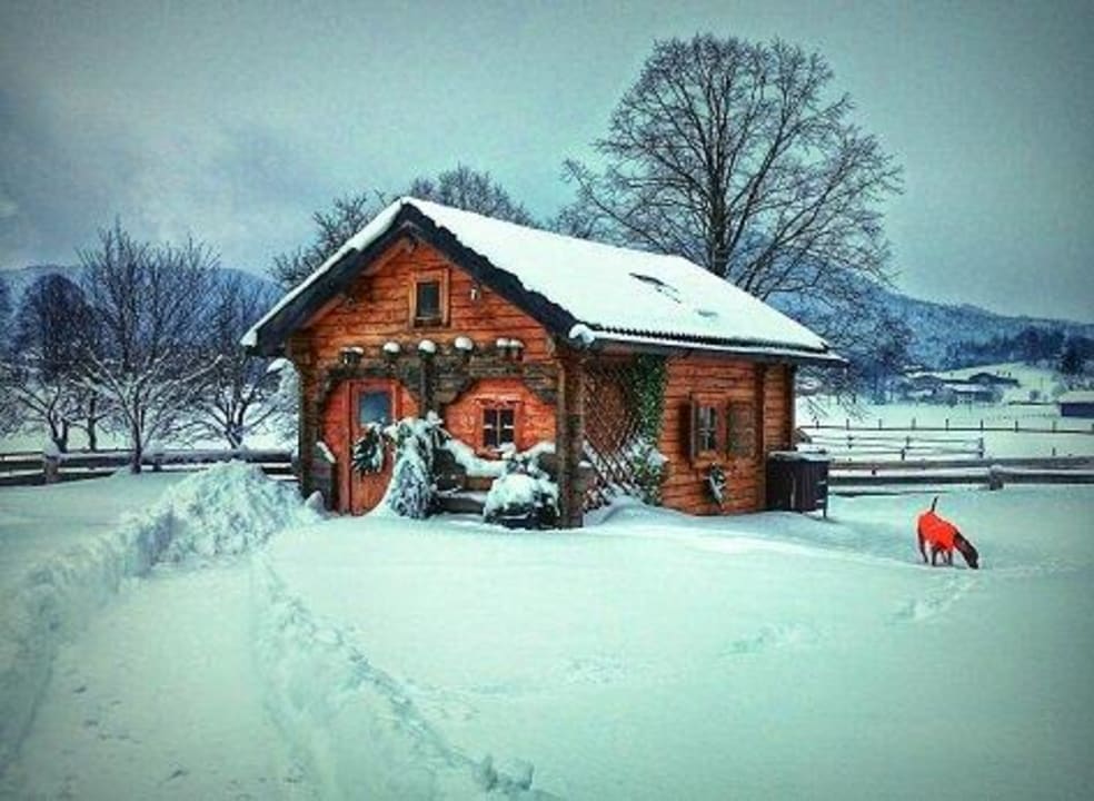 Blockhütte Hof Gottenau